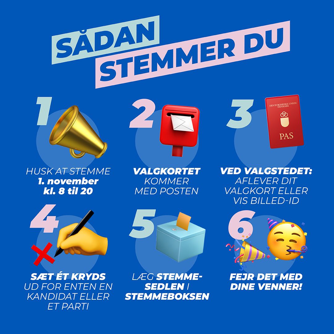 Guide: Sådan stemmer du