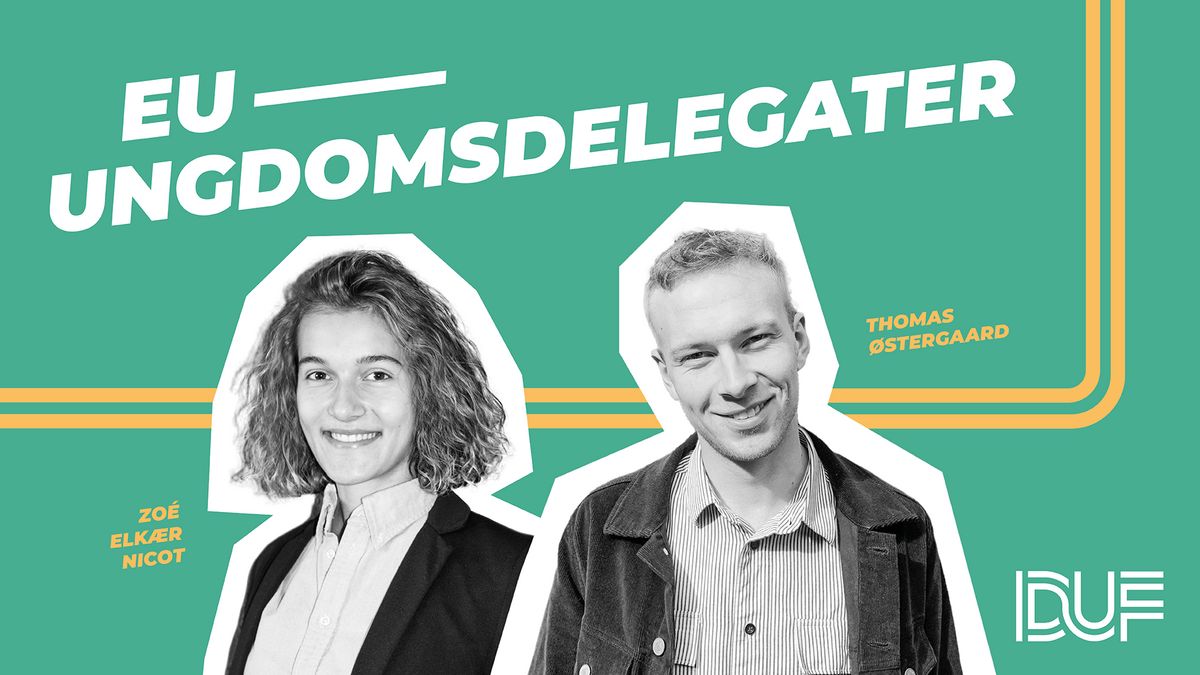 Europæiske ungeprojekter, oplevelser, udveksling og netværk: Muligheder for DUF’s medlemsorganisationer