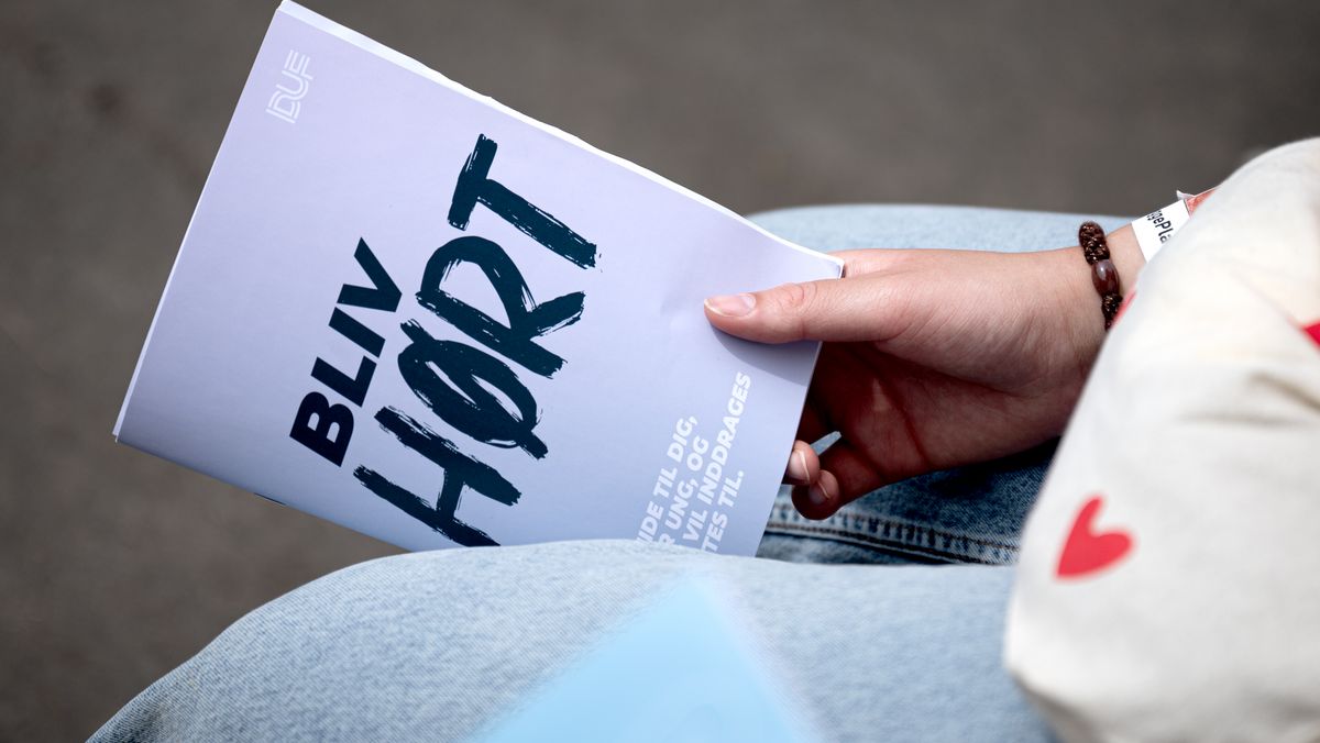 VIDEN OG VÆRKTØJER - til dig, der er ung og gerne vil høres