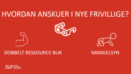 Det dobbelte ressourceblik